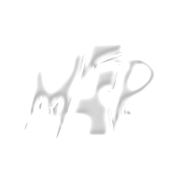 Motion 4 President
